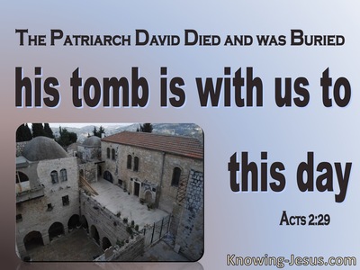 Acts 2:29 David's Tomb Is With Us To This Day (pink)